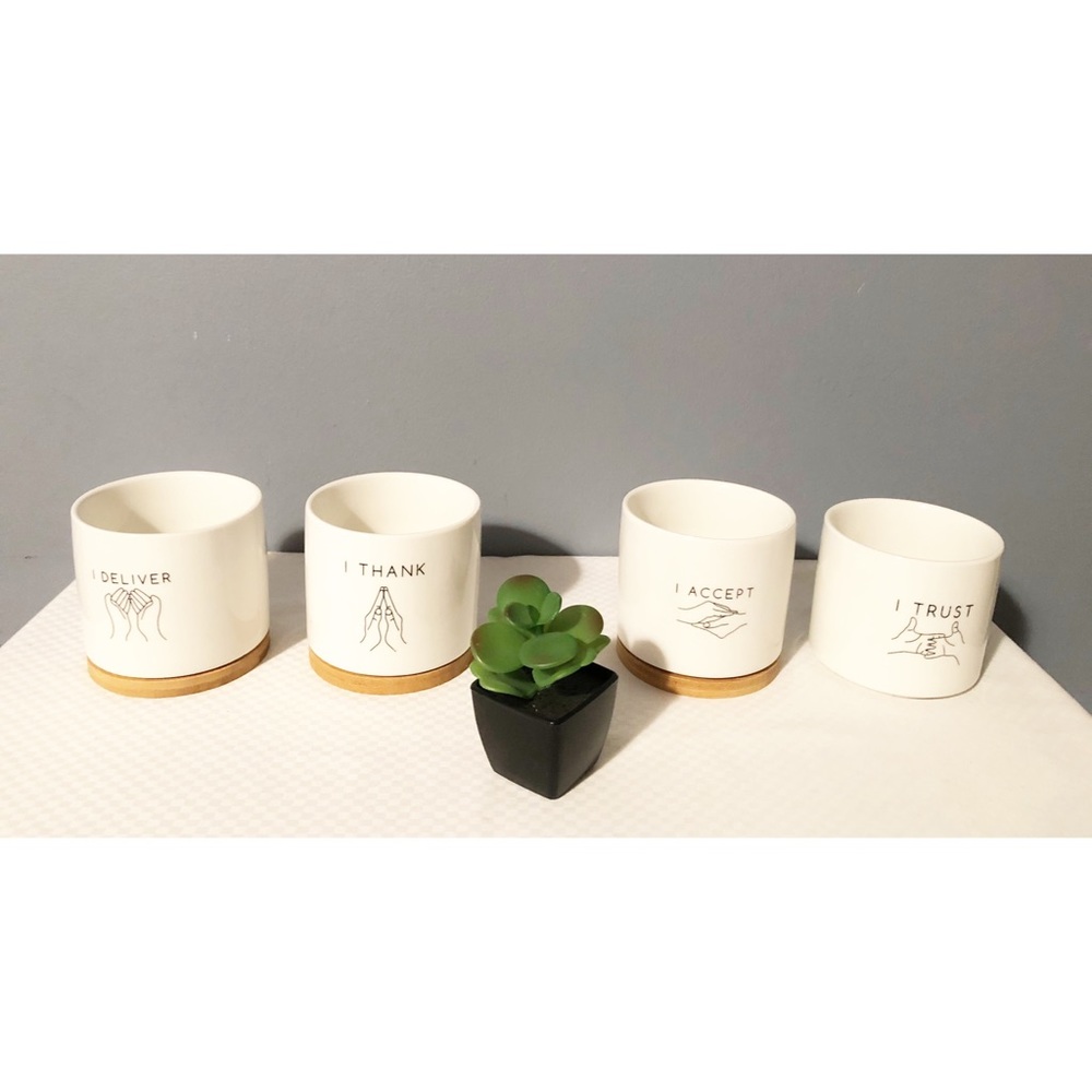 4 Dana Rhema Ceramic Succulent Planters
with 3 Bamboo Trays, NEW